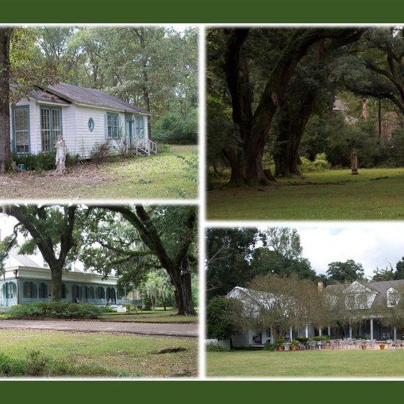 Photo Compilations Popular Vacation Prints - Picture 3 of 8